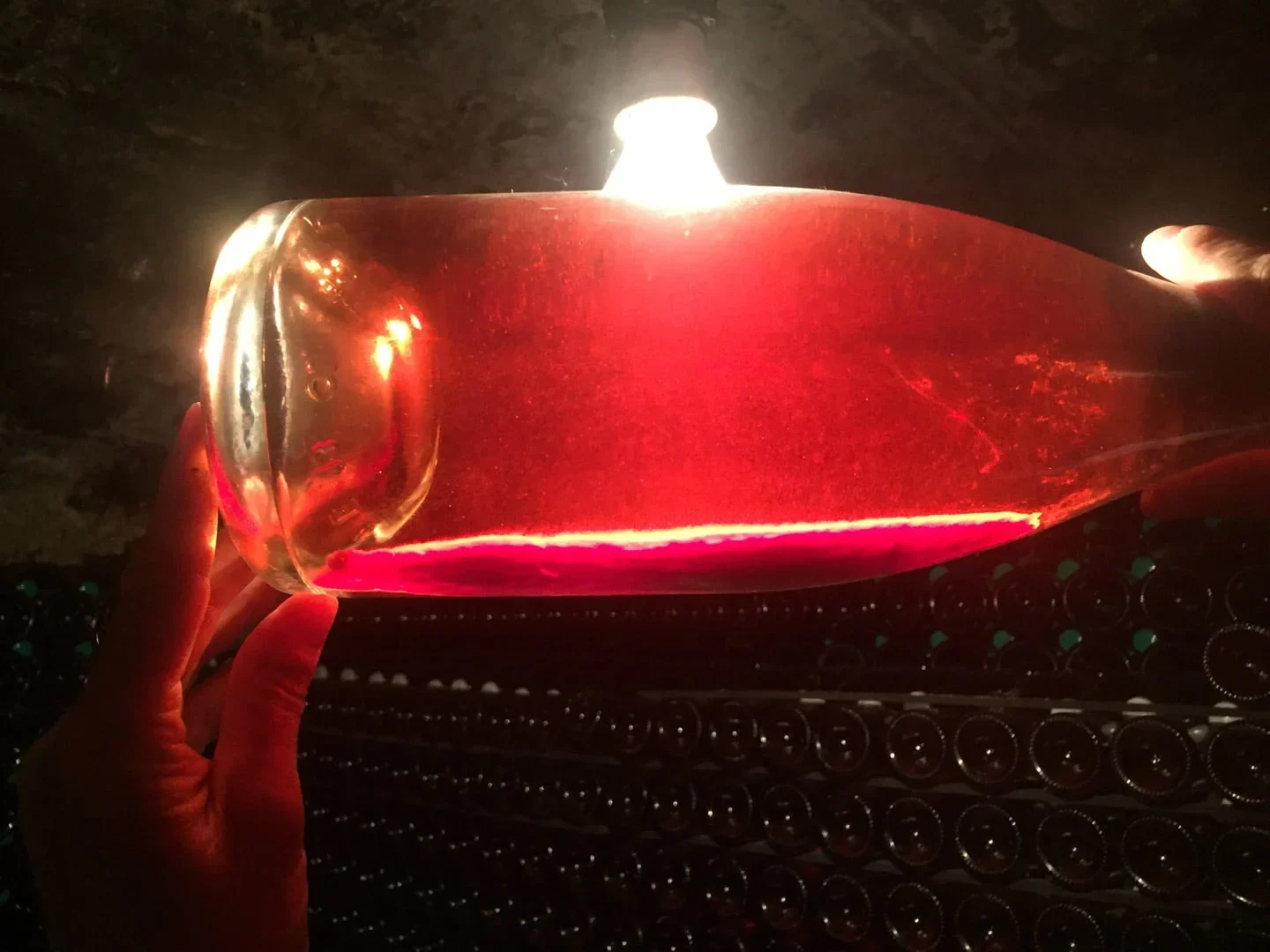 Champagne Tasting Tours from Paris lees