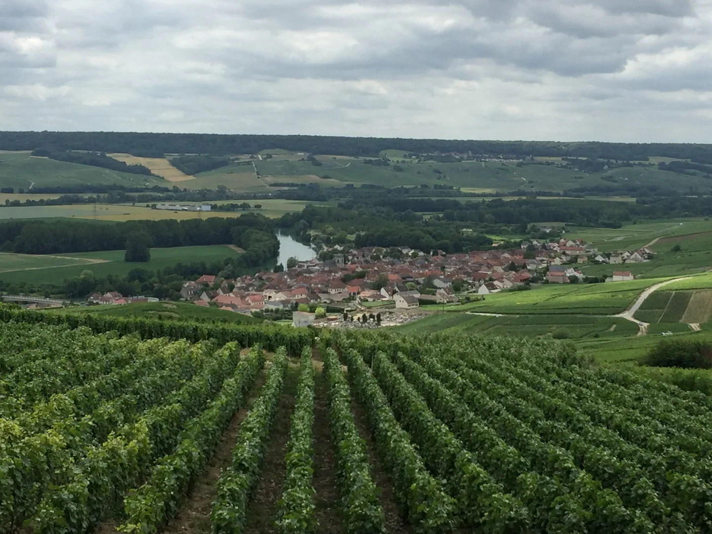 E-Bike Champagne Tasting Tours from Paris Cumieres